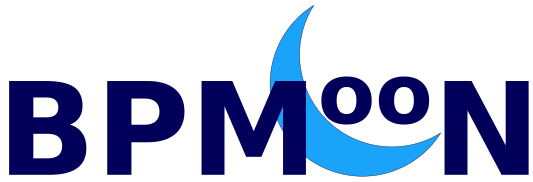 BPMooN Logo